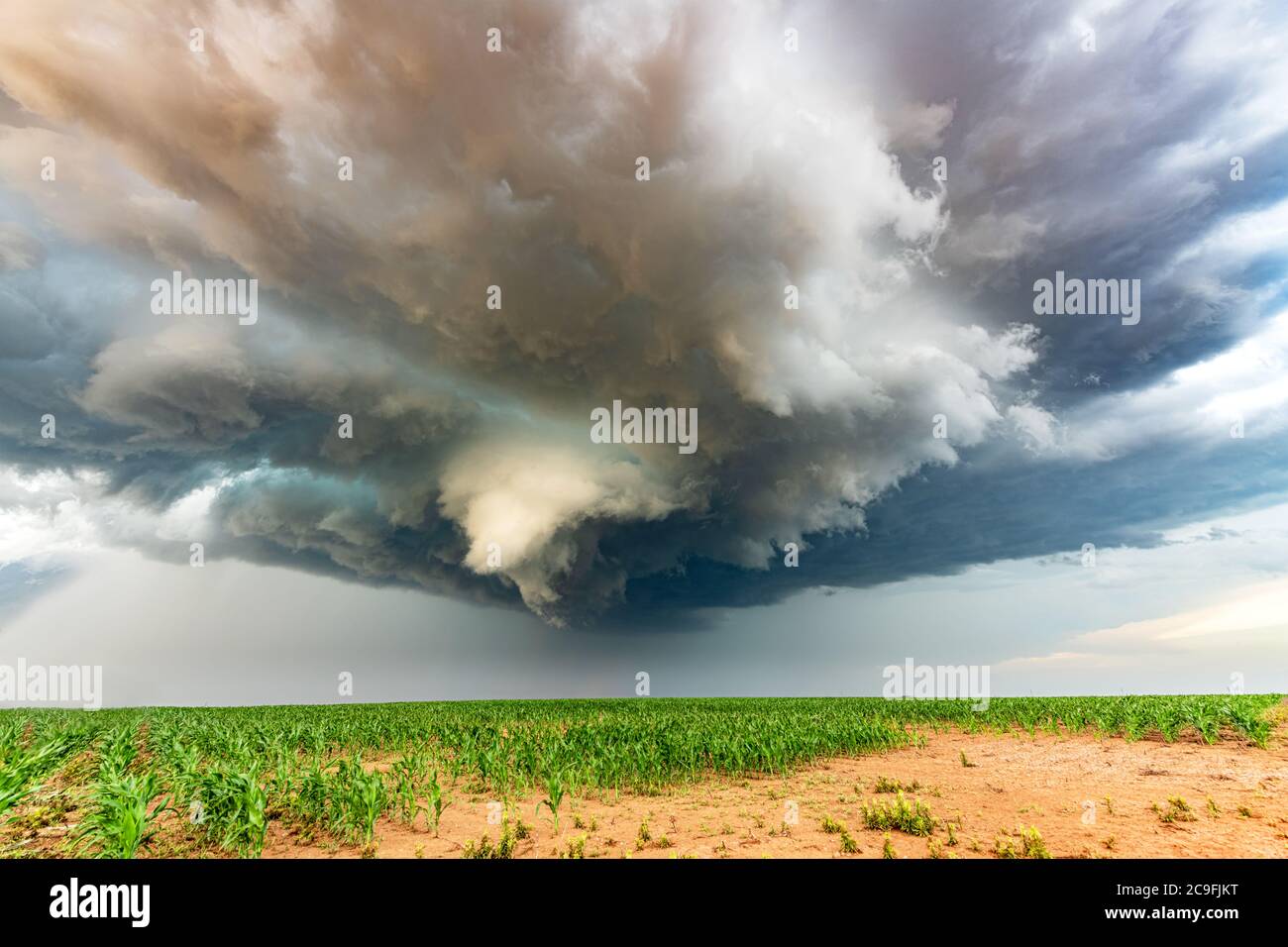 Panorama d'une cellule météorologique de mésocyclone massive, qui est un stade pré-tornade, passe sur une partie herbeuse des grandes Plaines tout en essayant férocement Banque D'Images