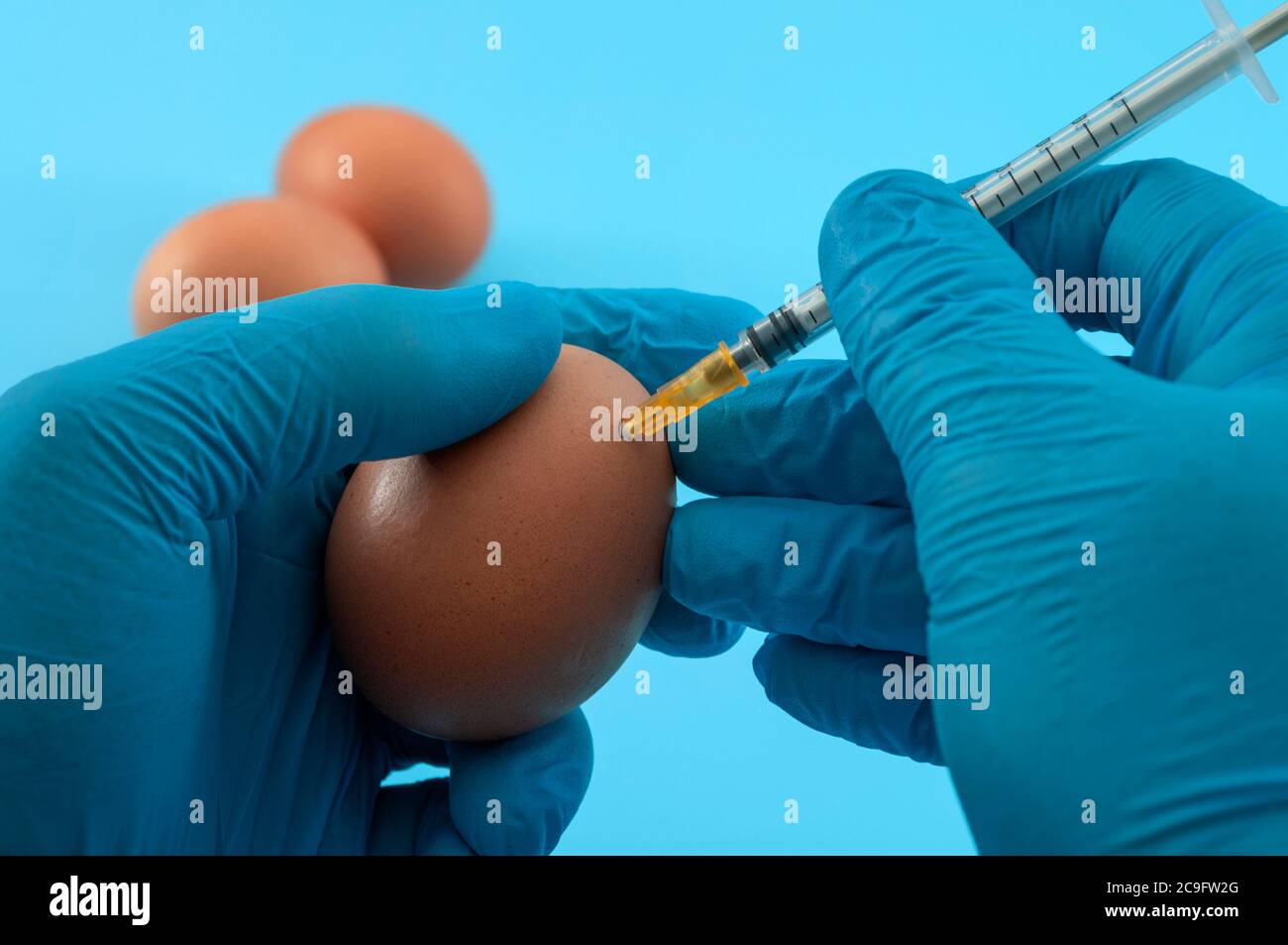 Fécondation des oeufs, grippe ou processus de production de vaccins ou aliments OGM non naturels concept avec le médecin dans des gants de latex utilisation de la seringue pour injecter l'oeuf W. Banque D'Images