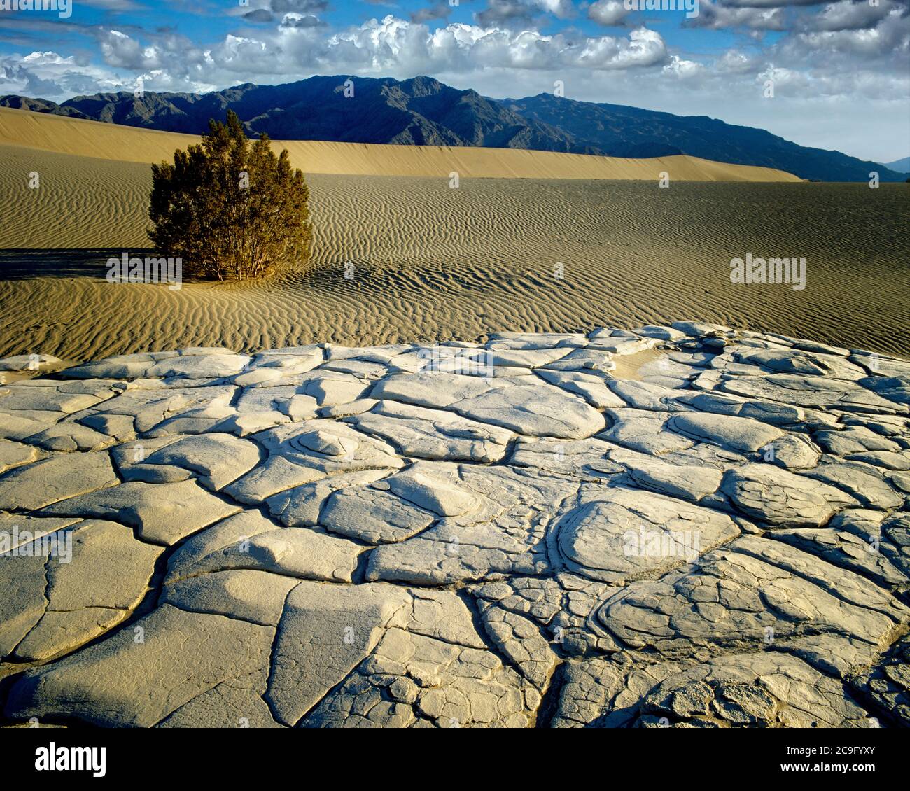 États-Unis - CALIFORNIE: Parc national de la Vallée de la mort Banque D'Images