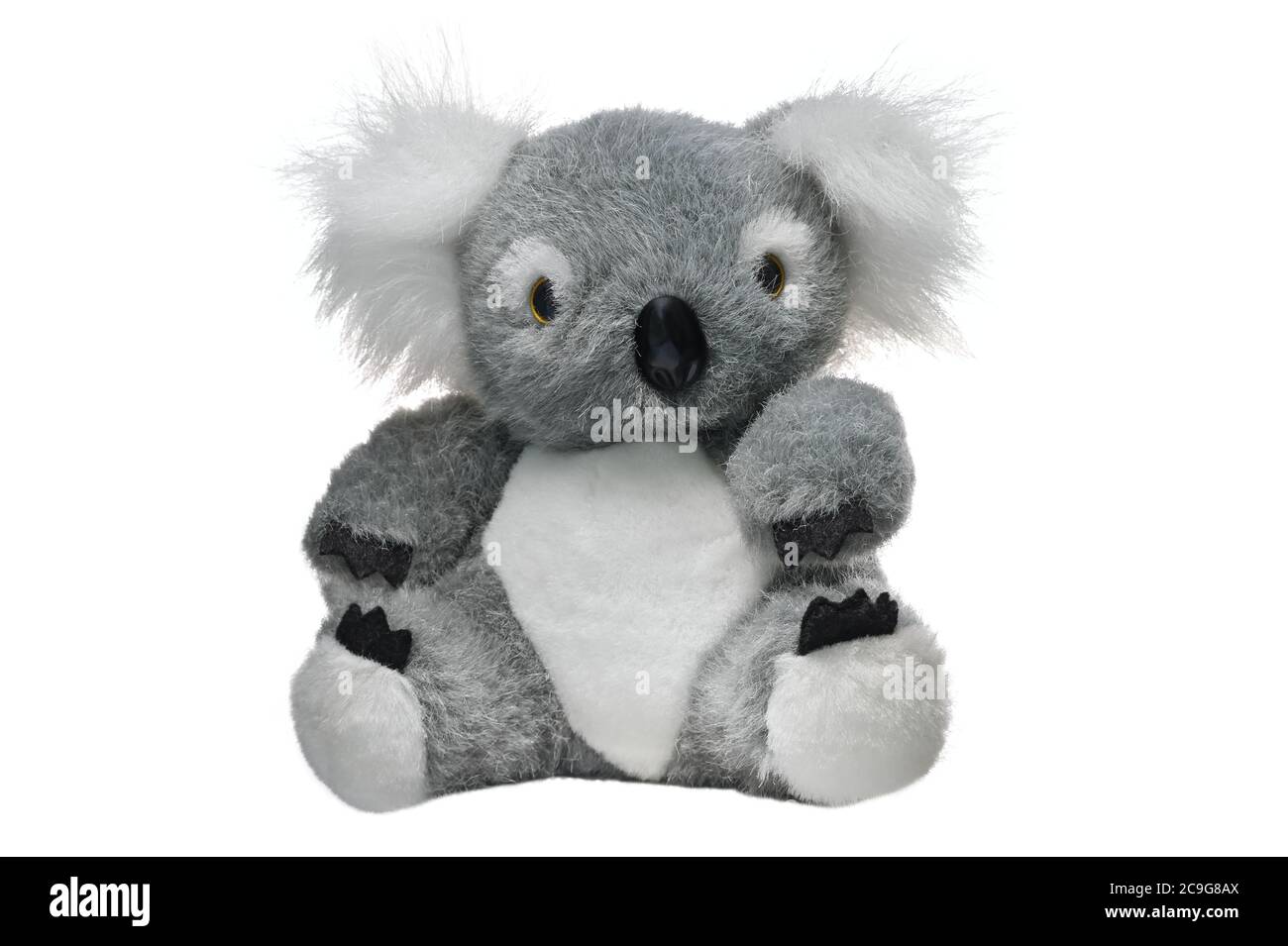 Souvenir typique de l'Australie. Ours koala en peluche isolé sur fond blanc. Banque D'Images