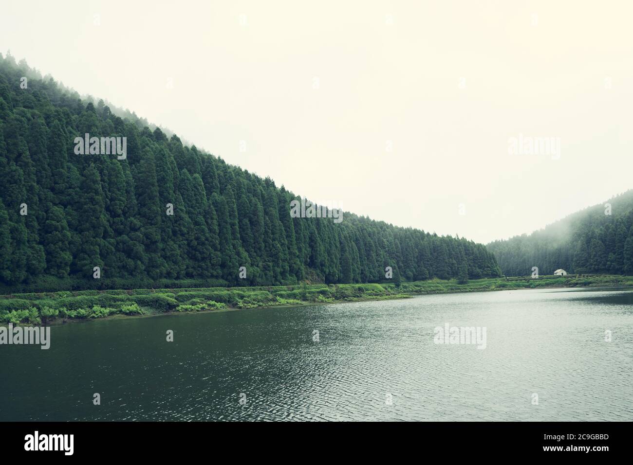 Paysage brumeux et mystérieux de lagons dans l'île de São Miguel, Açores, Portugal Banque D'Images