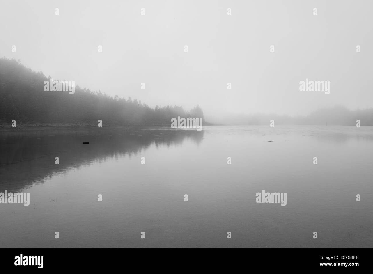 Paysage brumeux et mystérieux de lagons dans l'île de São Miguel, Açores, Portugal Banque D'Images