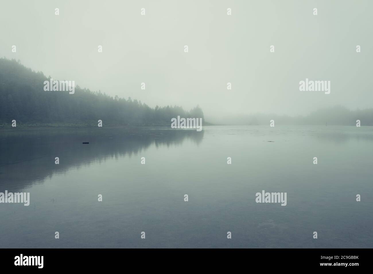 Paysage brumeux et mystérieux de lagons dans l'île de São Miguel, Açores, Portugal Banque D'Images