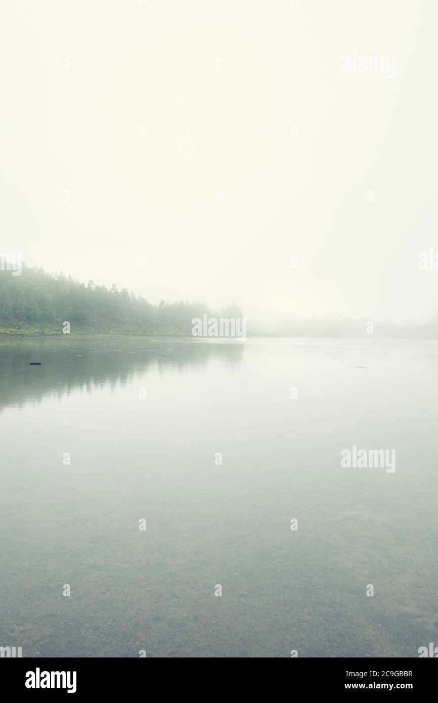 Paysage brumeux et mystérieux de lagons dans l'île de São Miguel, Açores, Portugal Banque D'Images