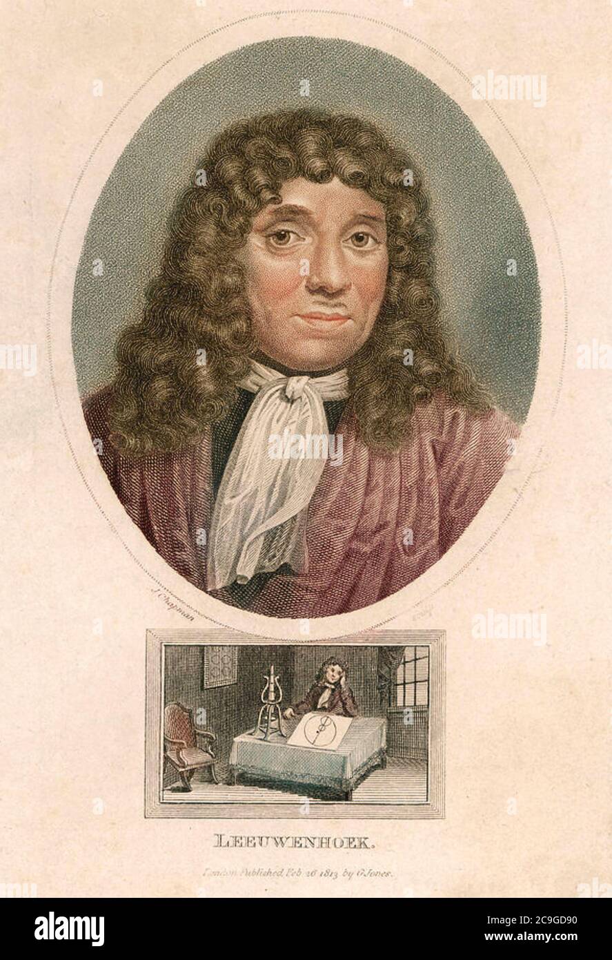 ANTOINE van LEEUWENHOEK (1632-1723) micro-biologiste et homme d'affaires néerlandais Banque D'Images