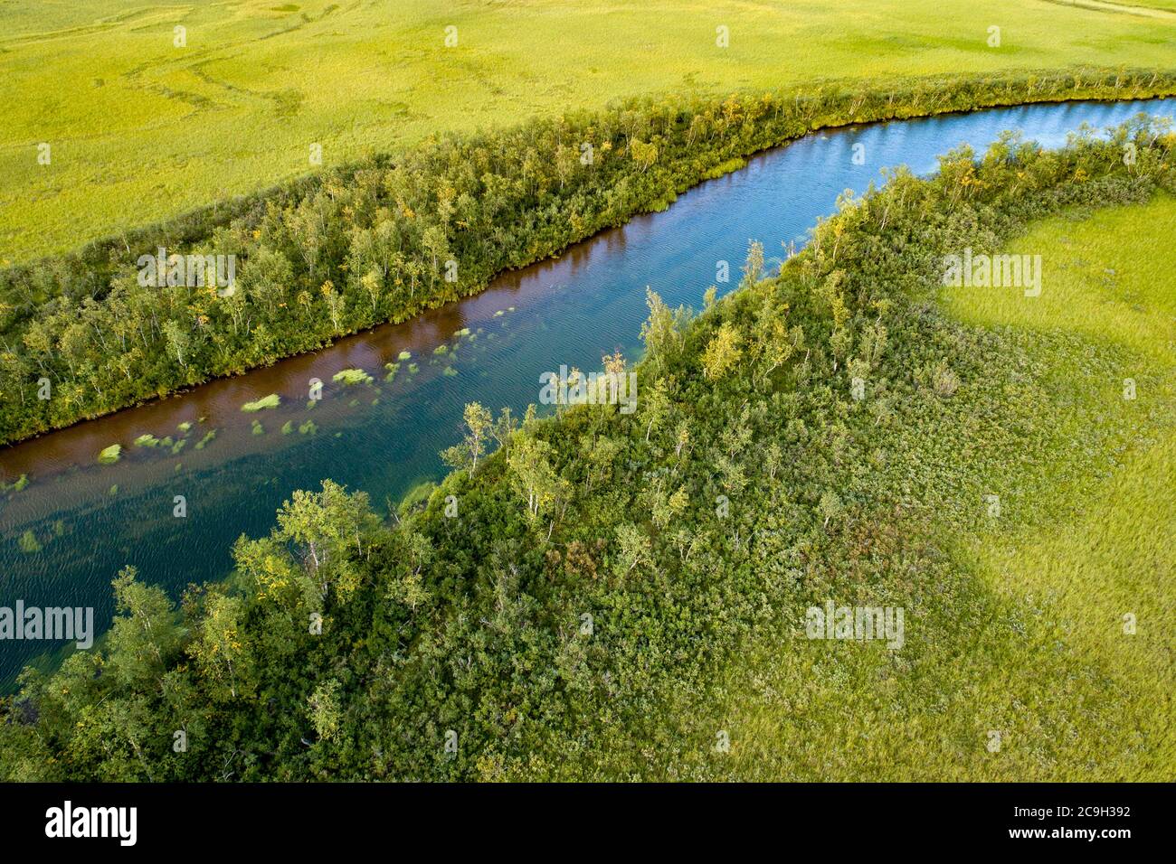 Rivière turquoise traversant un marais vert luxuriant, Laponie, Kiruna, Norrbotten laen, Suède Banque D'Images