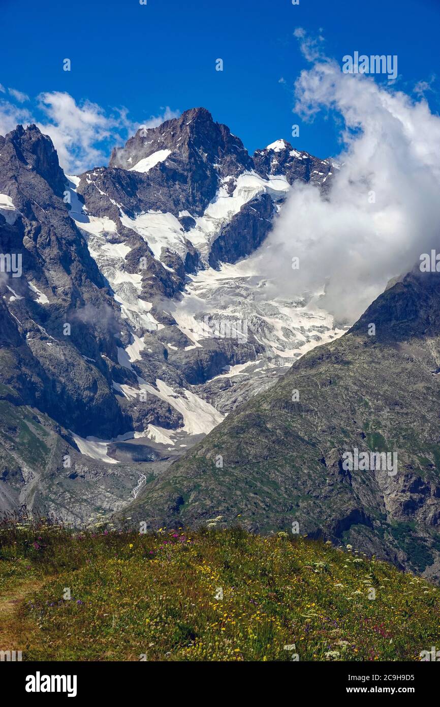 Prairies verdoyantes, fleurs alpines et pics alpins, Parc national des Ecrins, Alpes françaises, France Banque D'Images