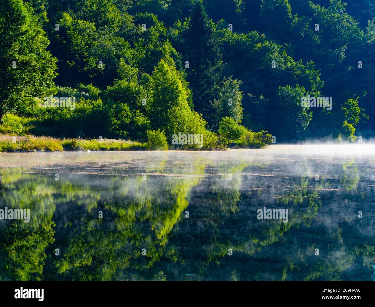 Nature préservée environnement naturel matin brouillard brillant au-dessus de la surface de l'eau du lac Mrzla vodica en Croatie Europe Banque D'Images