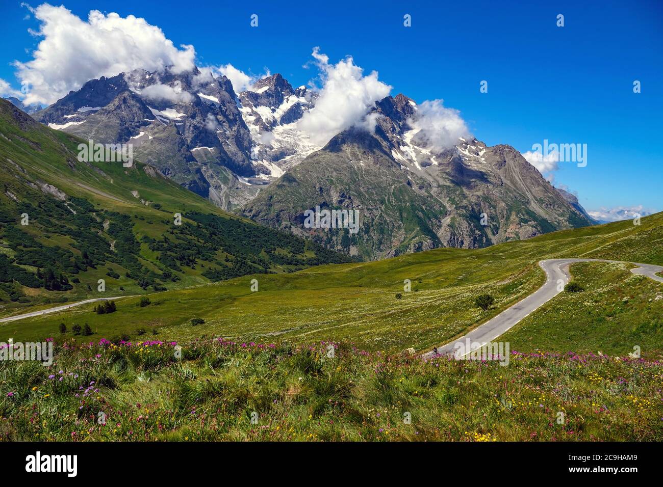 Prairies verdoyantes, fleurs alpines et pics alpins, Parc national des Ecrins, Alpes françaises, France Banque D'Images