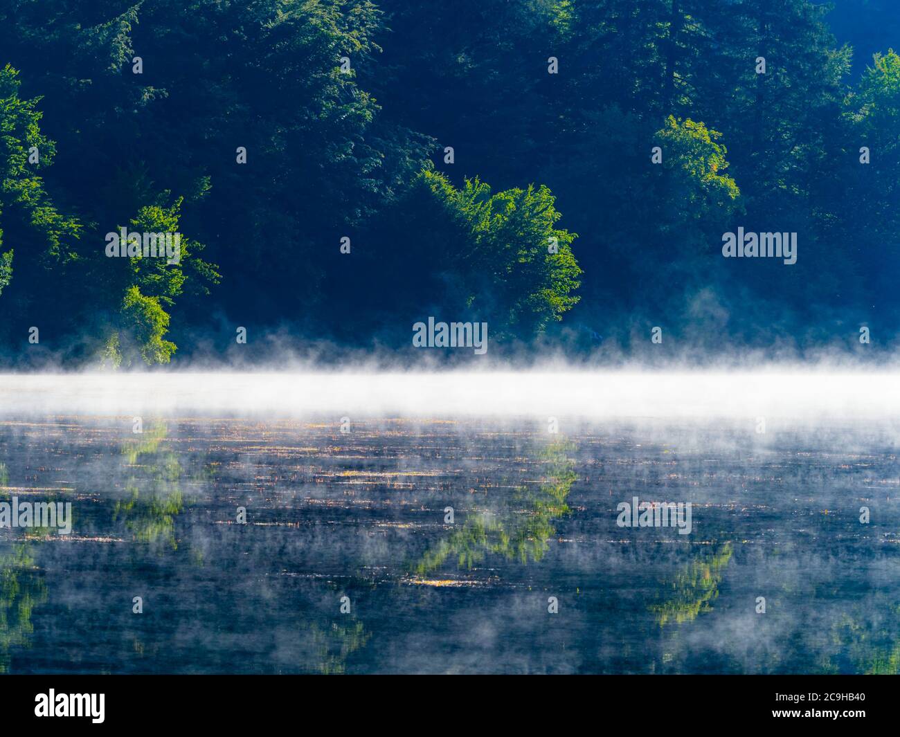 Matin brouillard brillant au-dessus de la surface de l'eau du lac Mrzla vodica en Croatie Europe Banque D'Images