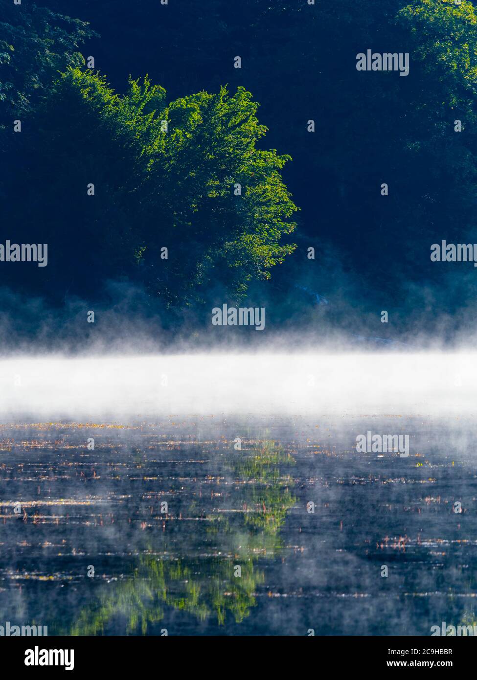 Matin brouillard brillant au-dessus de la surface de l'eau du lac Mrzla vodica en Croatie Europe Banque D'Images