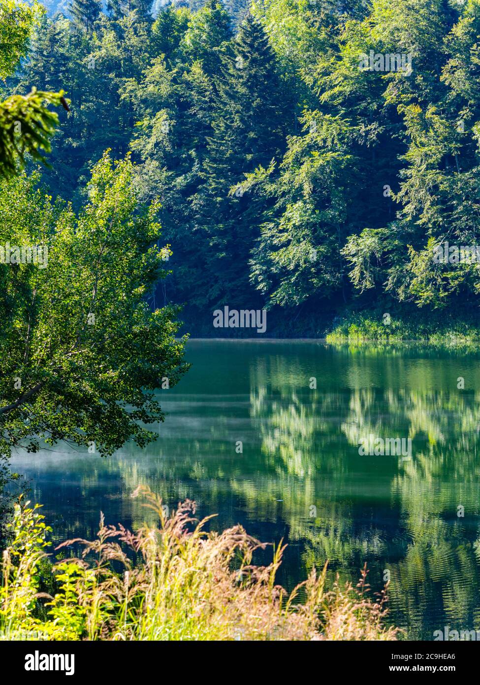 Belle nature du lac Lokve en Croatie Europe préservé environnement naturel Banque D'Images