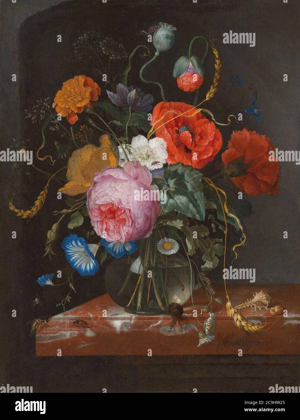 Jacob van walscapelle fleurit dans un vase en verre sur une laisse avec des insectes. Banque D'Images