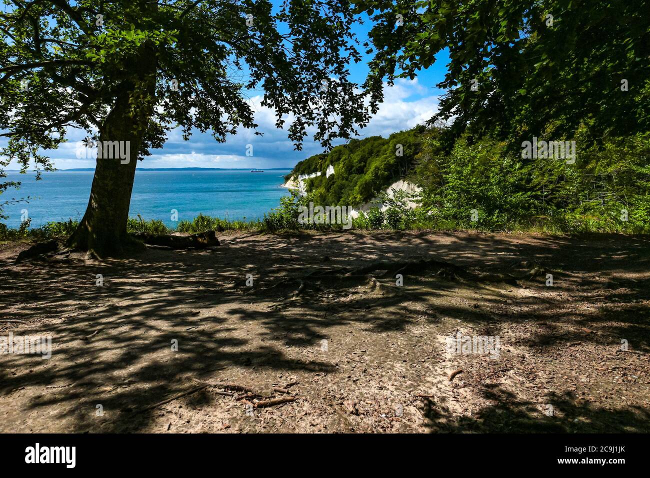Vue panoramique sur les falaises de craie de Rügen et la côte Baltique ('Steilküste') vue depuis le sentier de randonnée de Hochuferweg, parc national de Jasmund, Rügen, Allemagne. Banque D'Images