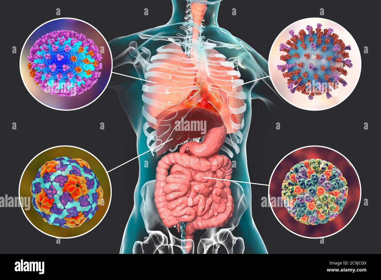 Infections Respiratoires Virus pathogènes humains causant des infections respiratoires et entériques, illustration informatique. Virus de la grippe (en haut à gauche), virus respiratoire syncytial (t Photo Stock - Alamy