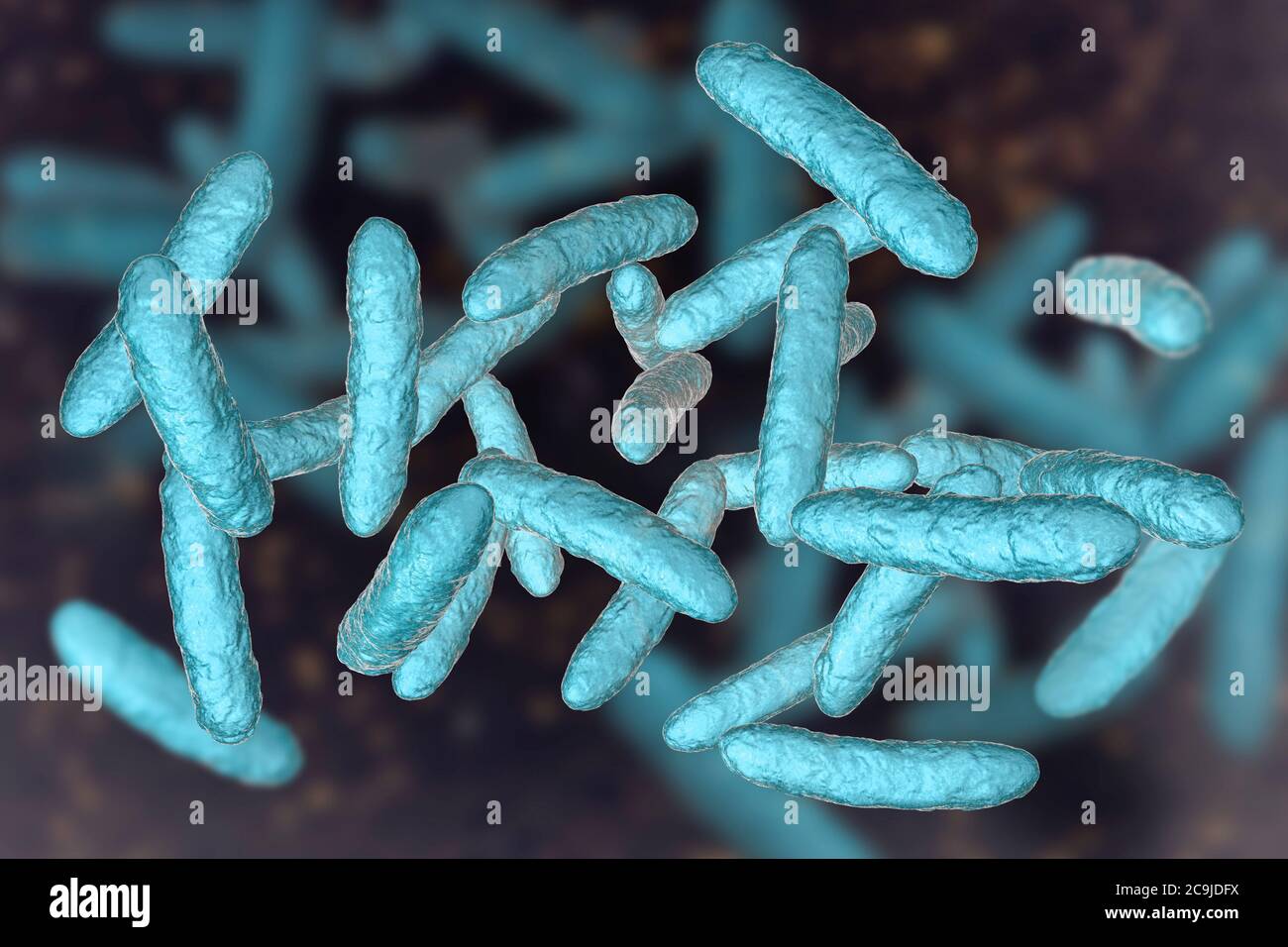 Microbiote intestinal Banque de photographies et d’images à haute ...