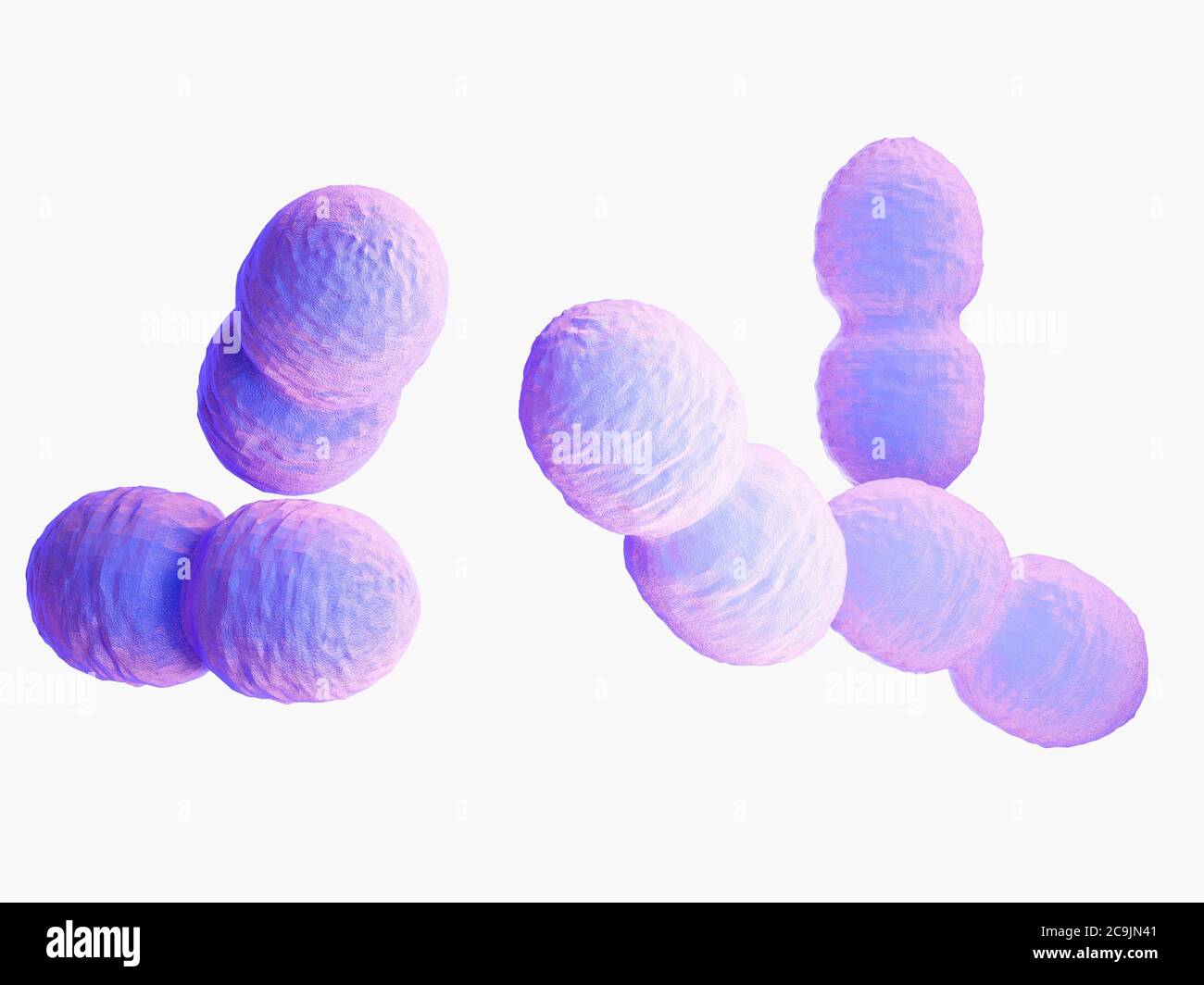 Bactéries Enterococcus, illustration informatique. Banque D'Images