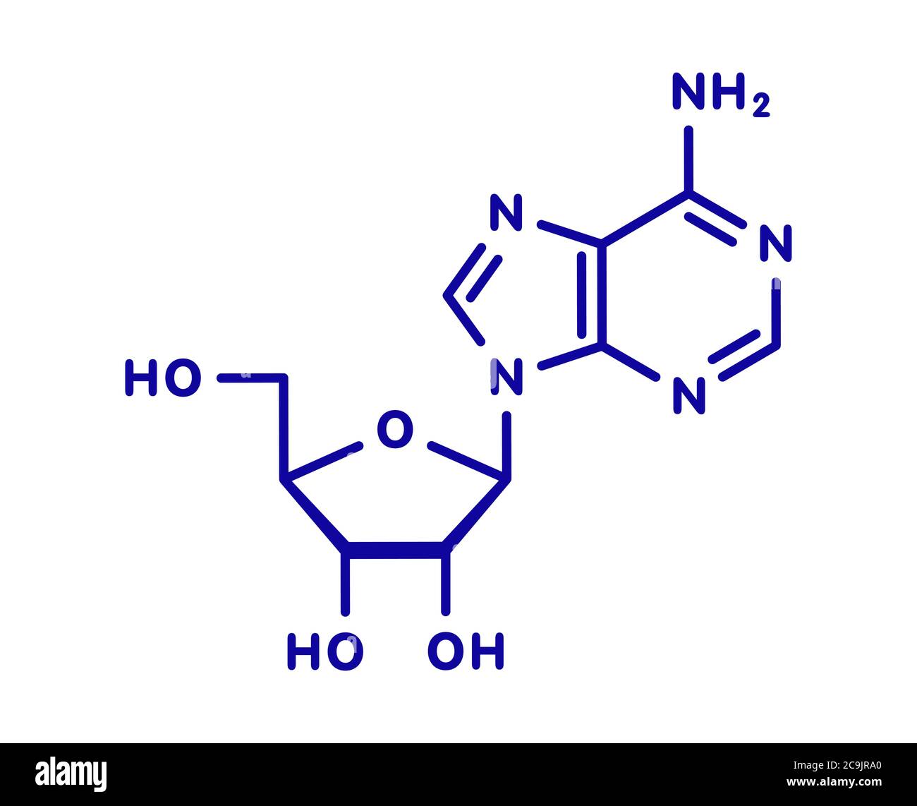 Molécule de nucléoside d'adénosine (ADO) purine. Composante importante de l'ATP, de l'ADP, du camp et de l'ARN. Également utilisé comme médicament. Formule squelette bleu sur fond blanc Banque D'Images