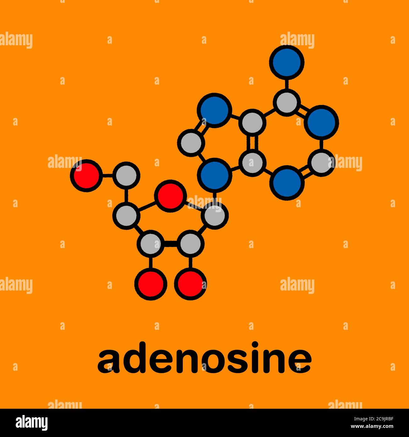 Molécule de nucléoside d'adénosine (ADO) purine. Composante importante de l'ATP, de l'ADP, du camp et de l'ARN. Également utilisé comme médicament. Formule squelette stylisée (strau chimique Banque D'Images