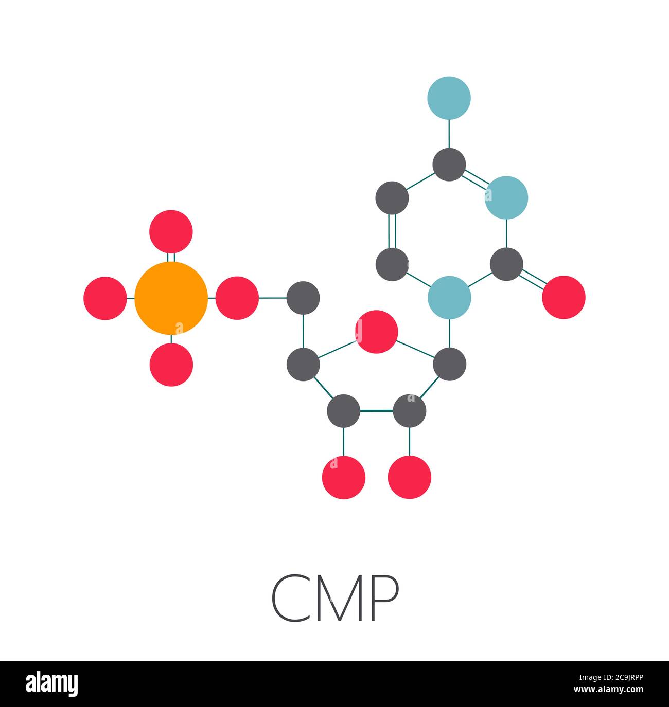 Molécule de bloc de construction d'ARN de cytidine monophosphate (CMP, cytidylate). Formule squelettique stylisée (structure chimique). Les atomes sont représentés par un code de couleur c Banque D'Images