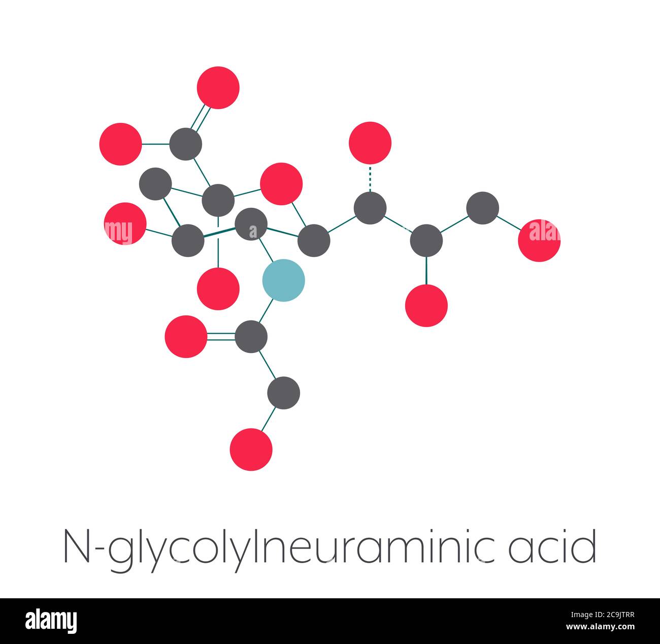 Molécule d'acide N-glycolylneuraminique (Neu5Gc). Acide sialique trouvé dans la plupart des mammifères mais manquant chez l'homme. Formule squelettique stylisée (structure chimique). Banque D'Images