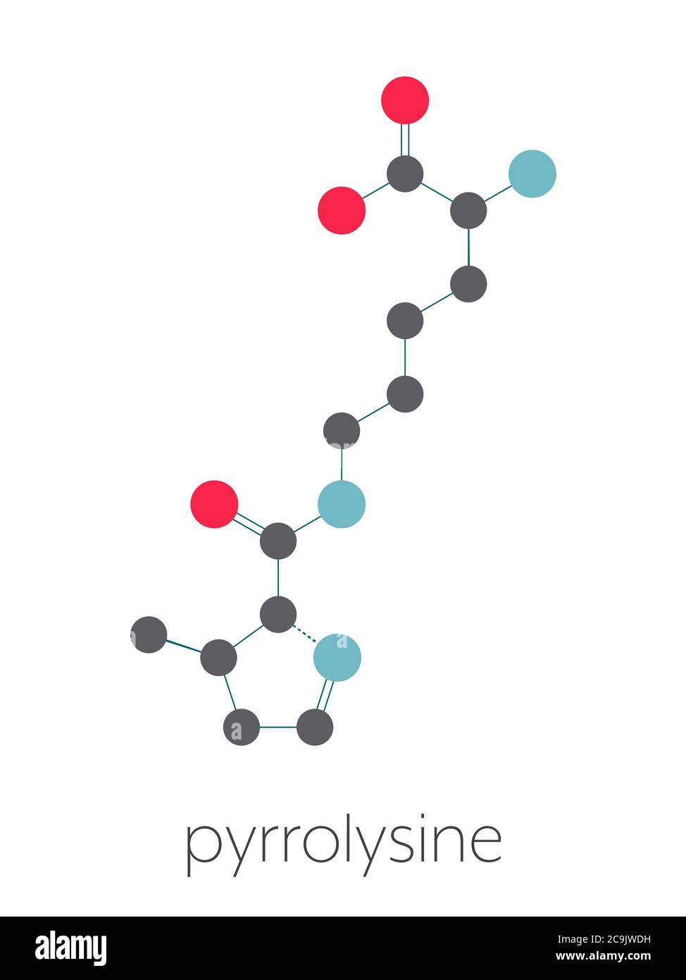 Pyrrolysine L Pyrrolysine Pyl O Molecule D Acide Amine Formule Squelettique Stylisee Structure Chimique Les Atomes Sont Representes Par Des Cercles De Couleur Photo Stock Alamy