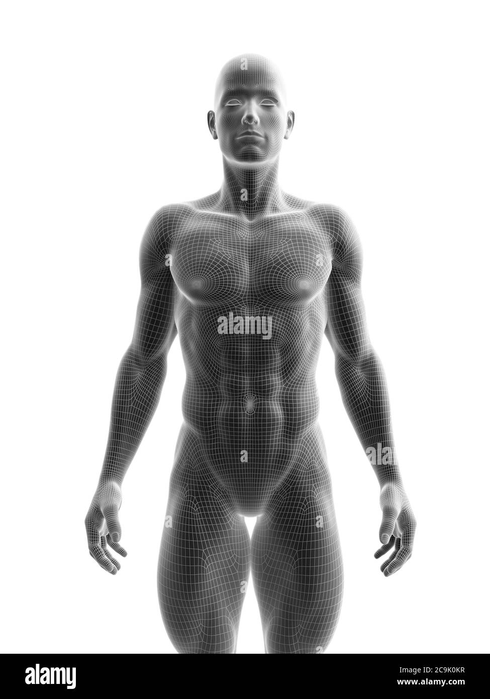 Modèle mâle déchiré , illustration. Banque D'Images