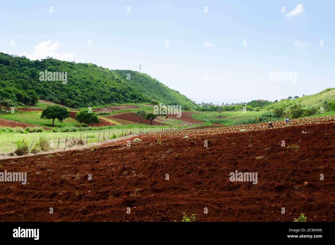 Terres agricoles labourées Banque D'Images