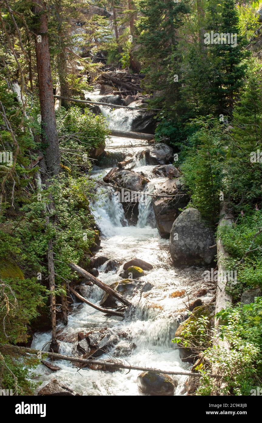 Rapides des Rocheuses dans le parc national des montagnes Rocheuses, au Colorado Banque D'Images
