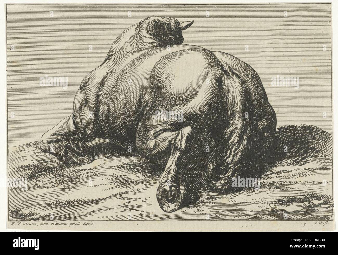 Jan van Huchtenburg, Adam Frans van der Meulen - UN cheval couché sur le ventre vu de derrière. Banque D'Images