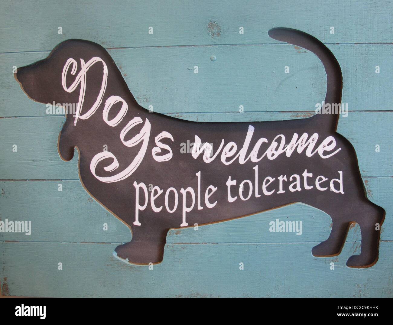 Chien avec des mots écrits sur une planche en bois bleu Banque D'Images