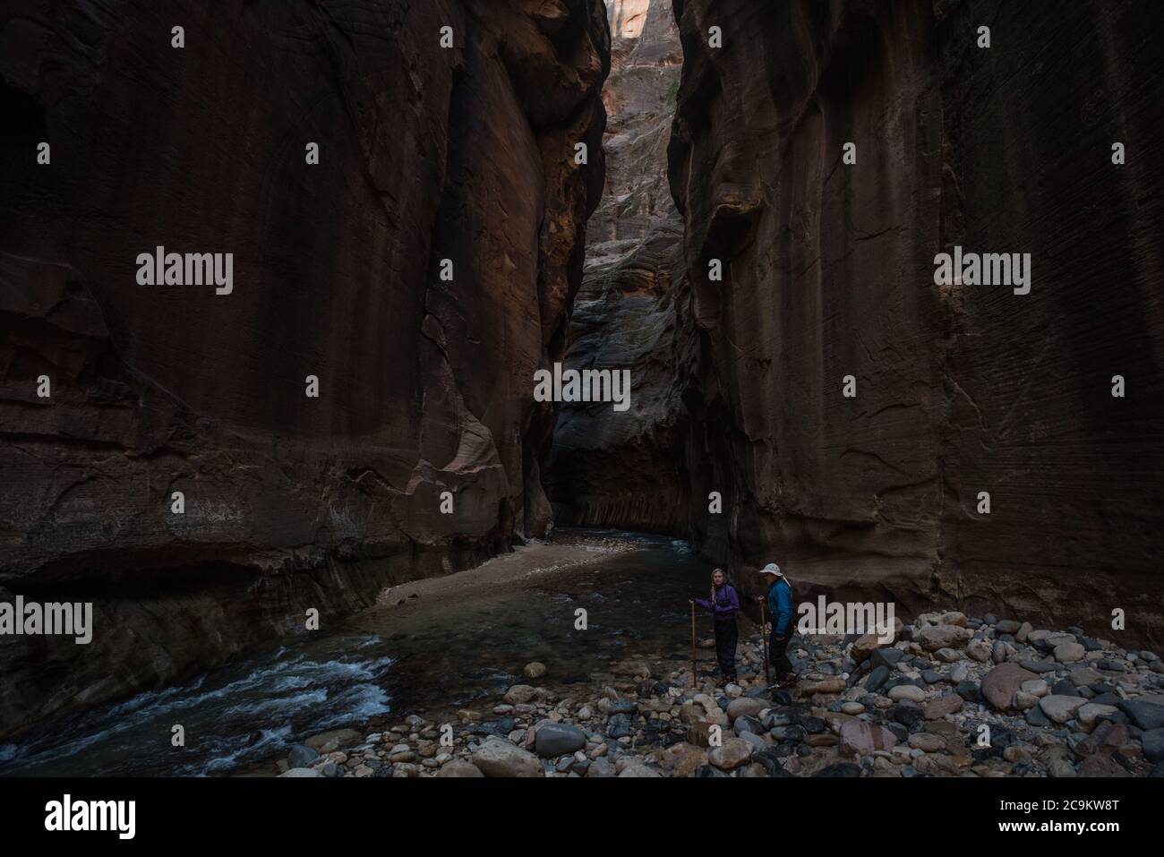La randonnée dans le parc national de Zion consiste à marcher et à barboter dans la rivière vierge au fond d'un magnifique canyon. Banque D'Images