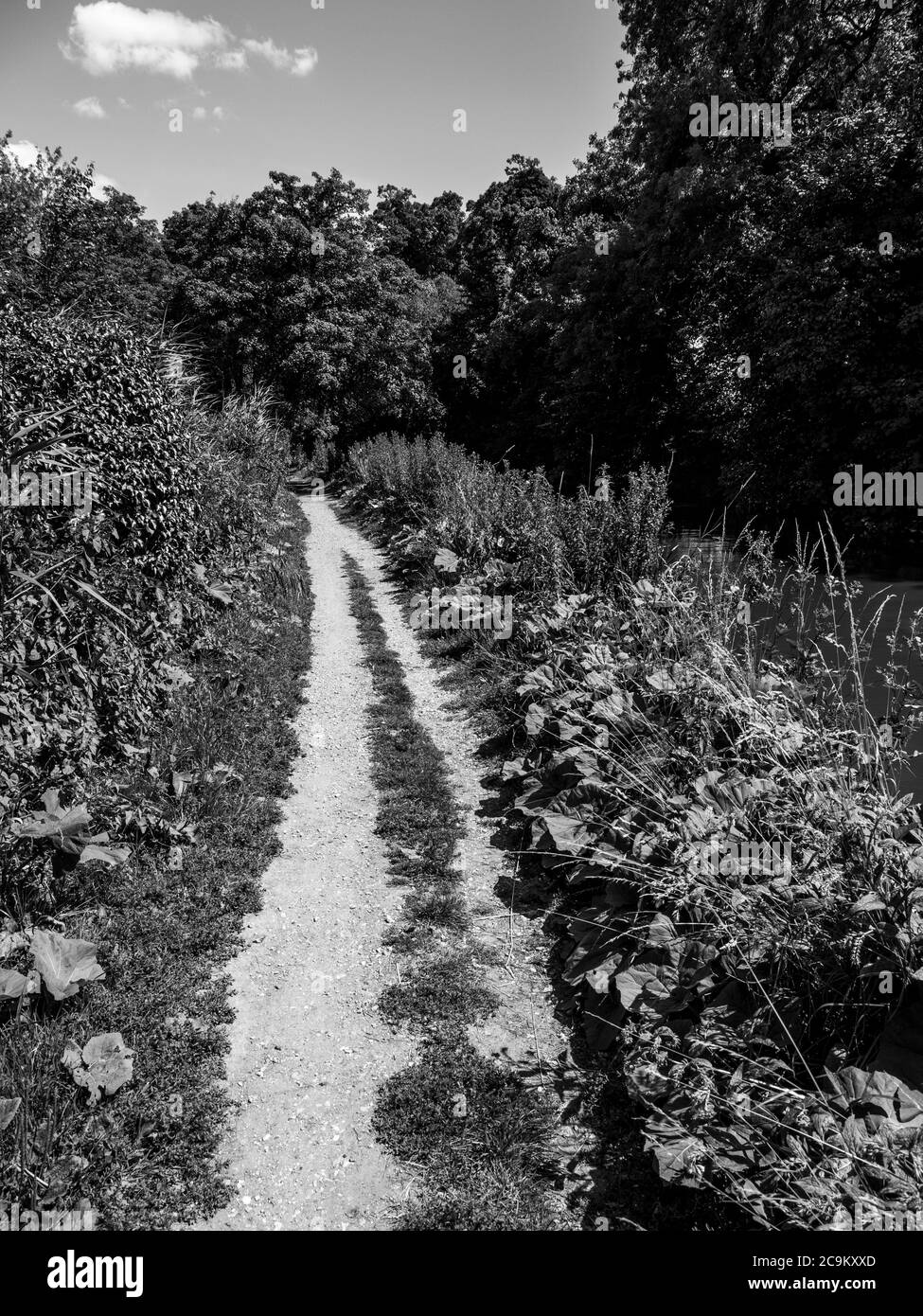 Black and White Landscape of Footpath, Kennett and Avon Canal, Kintbury, Hungerford, Berkshire, Angleterre, Royaume-Uni, GB. Banque D'Images