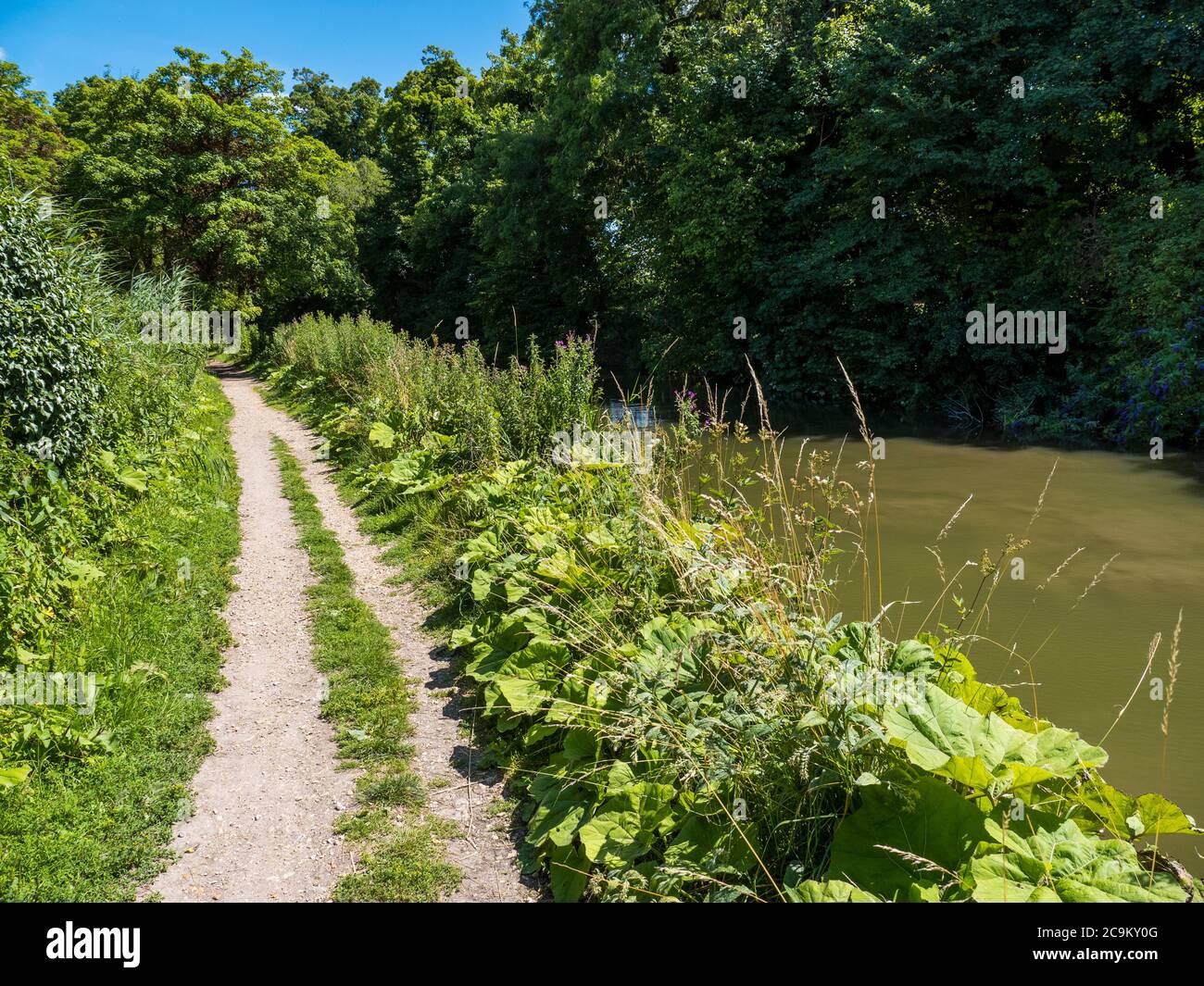 Sentier longeant le canal Kennet et Avon, Berkshire, Angleterre, Royaume-Uni, GB. Banque D'Images