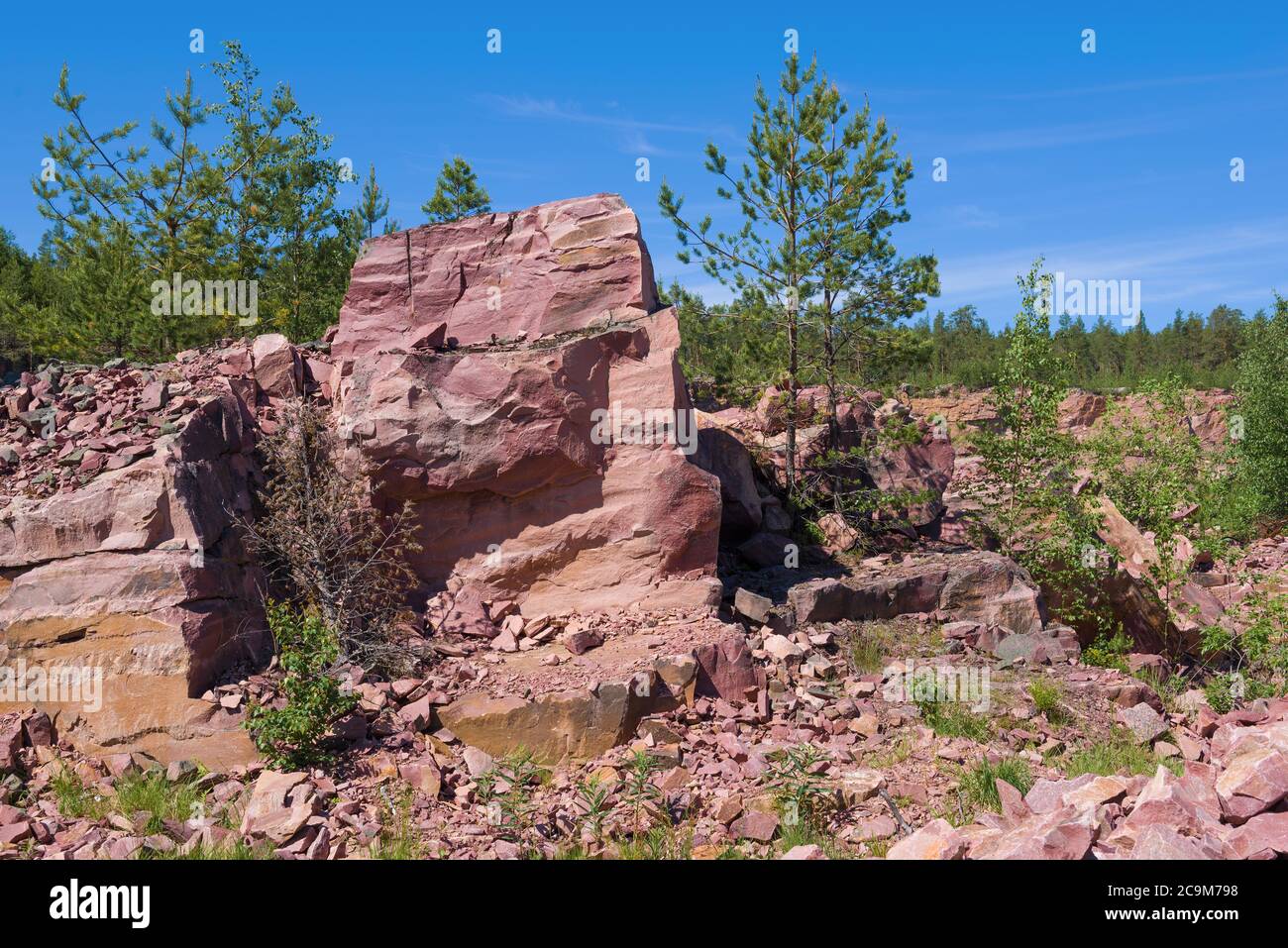 Fragment d'une roche de quartzite de framboise dans une ancienne carrière le jour ensoleillé de juin. Kvartsitniy, Carélie Banque D'Images