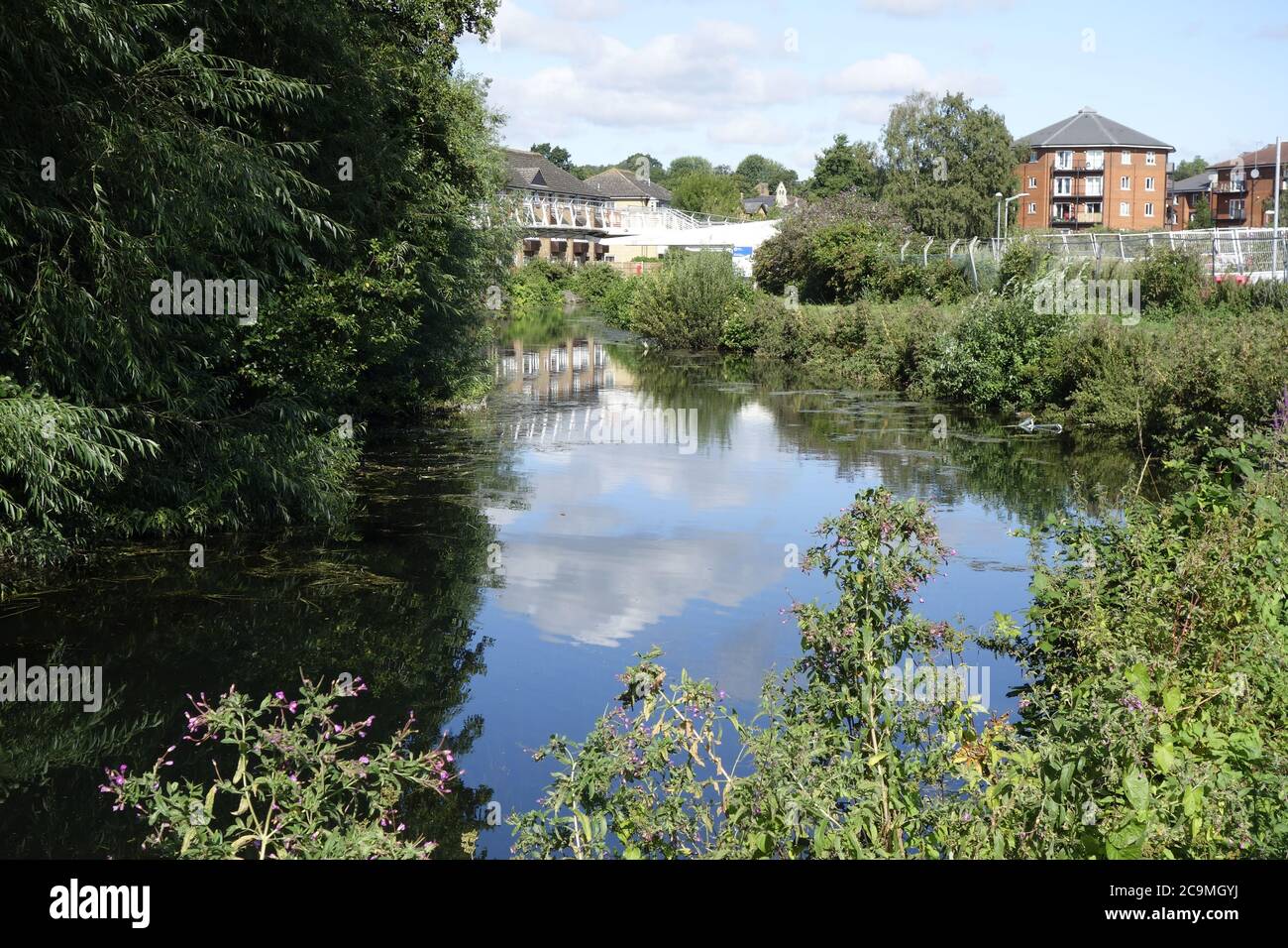 bishops stortford river stortford canal walk, navigation de stort, canal trust, pittoresque ville de marché hertfordshire angleterre grande-bretagne Banque D'Images