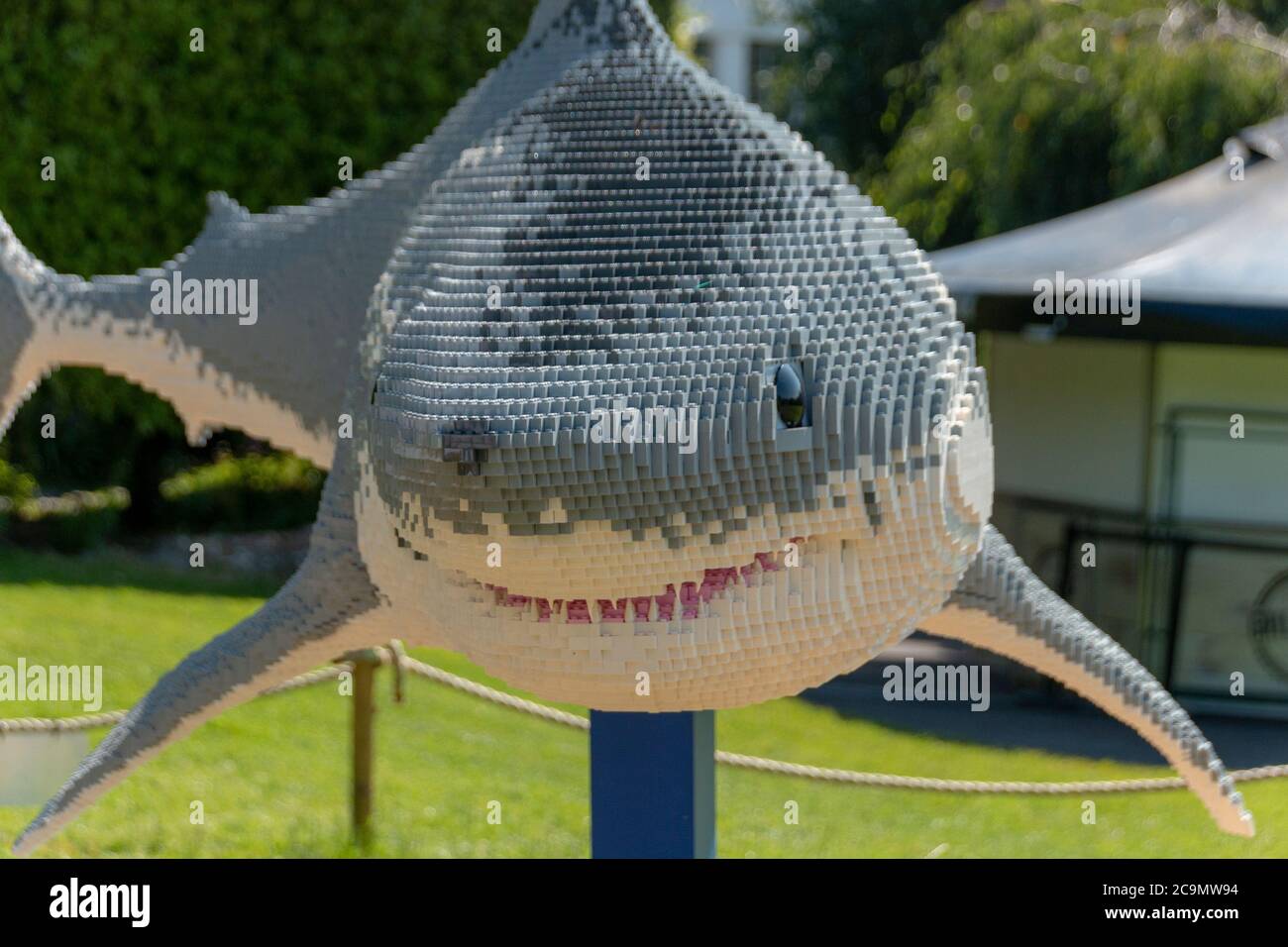 Bristol-août-2020-Angleterre- UN grand requin blanc fabriqué à partir de lego exposé au zoo de Bristol Banque D'Images