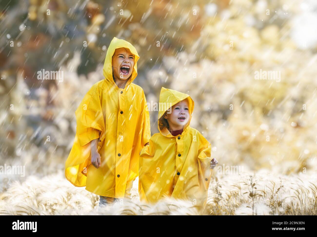Deux enfants heureux drôle sous la douche d'automne. Les filles portent des imperméables jaunes et profitent de la pluie. Sœurs jouant ensemble sur la nature dehors Banque D'Images