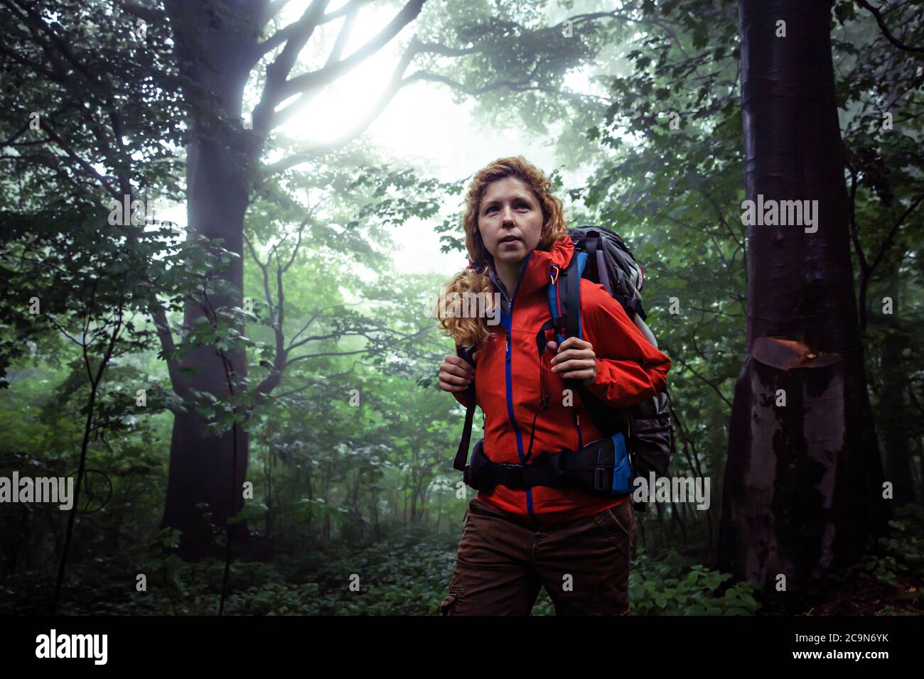 Portrait d'une femelle caucasienne d'âge moyen, randonnée dans la forêt brumeuse tôt le matin. Banque D'Images