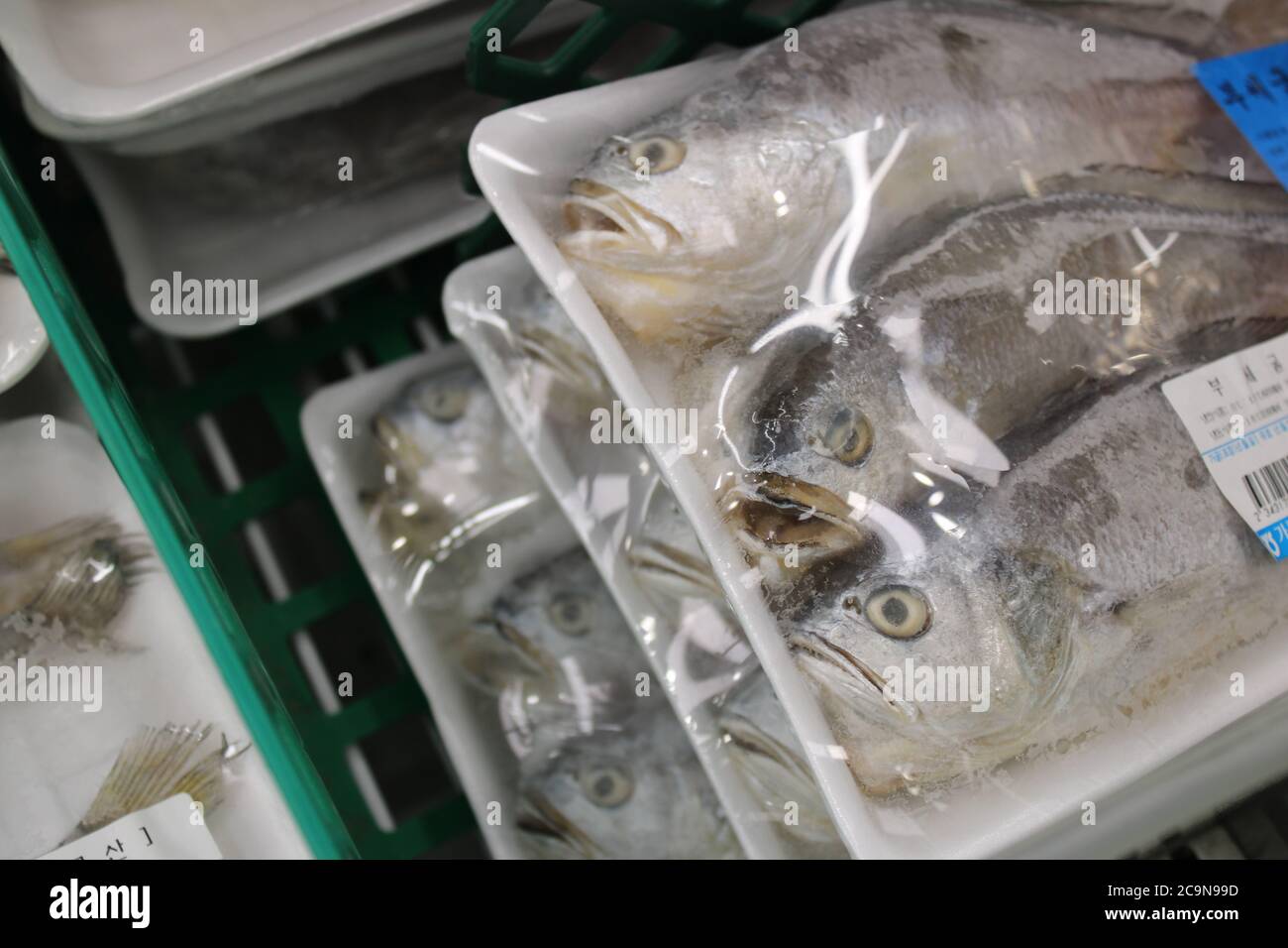 Poisson congelé aux expressions du visage conservées, dans un emballage en plastique, dans un supermarché asiatique Banque D'Images