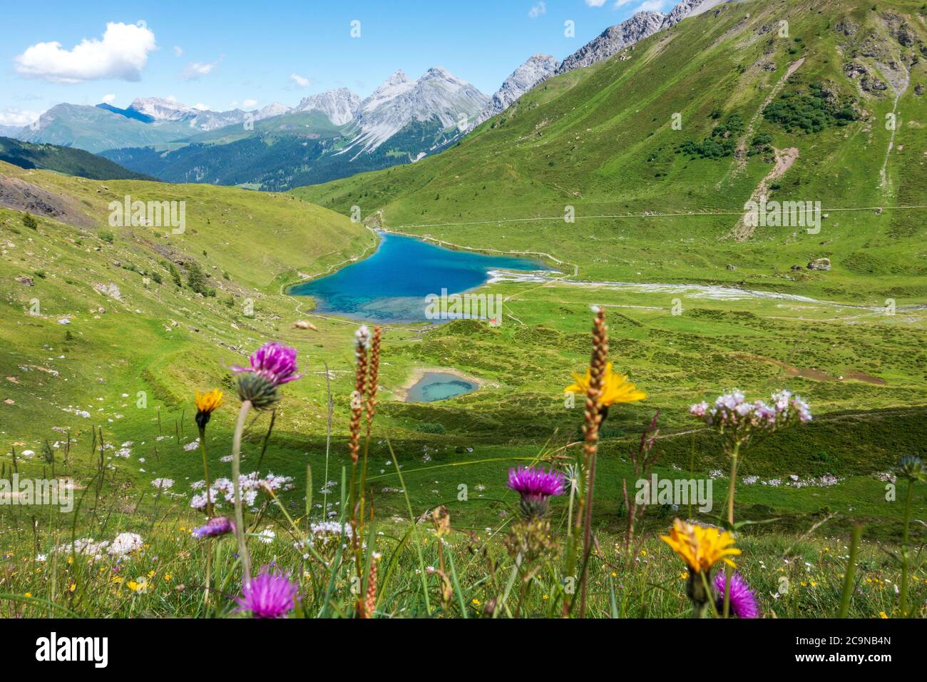 La photo montre le pittoresque lac de Schwelli à Arosa, en Suisse. Banque D'Images