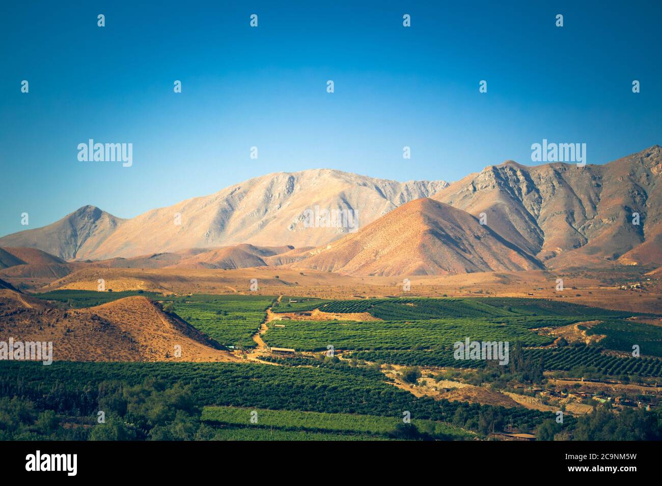Paysage chilien avec montagnes et champs près de Vicuña Banque D'Images