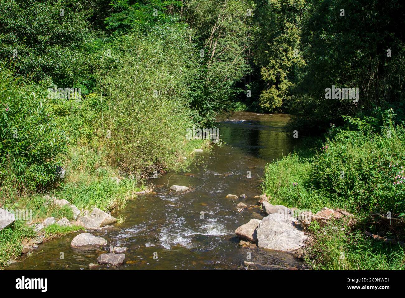 Křemžský potok, une rivière distributaire à la Vltava, République tchèque Banque D'Images