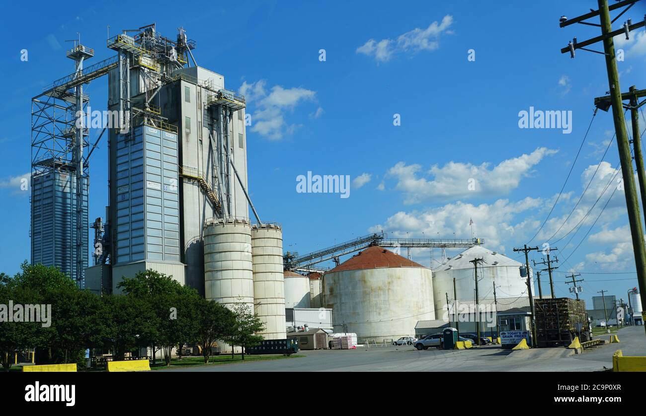 Millsboro, Delaware, États-Unis - 29 juin 2020 - vue des fermes de poulet Mountaire depuis la route 24 Banque D'Images