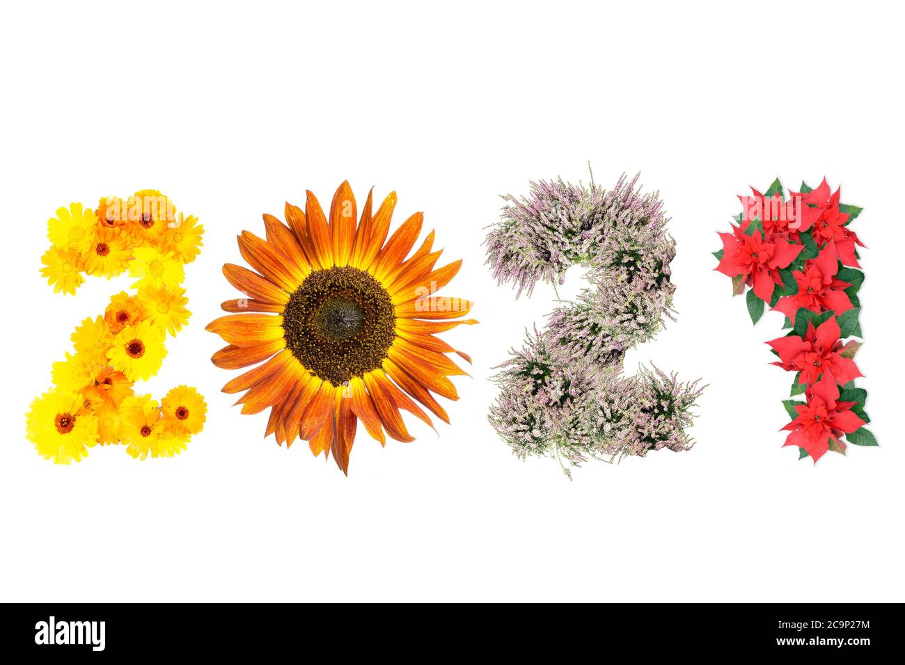 Nouvelle année 2021 date arrangé à partir de fleurs de marigold, de tournesol, de bruyère et de poinsettia représentant quatre saisons de l'année Banque D'Images