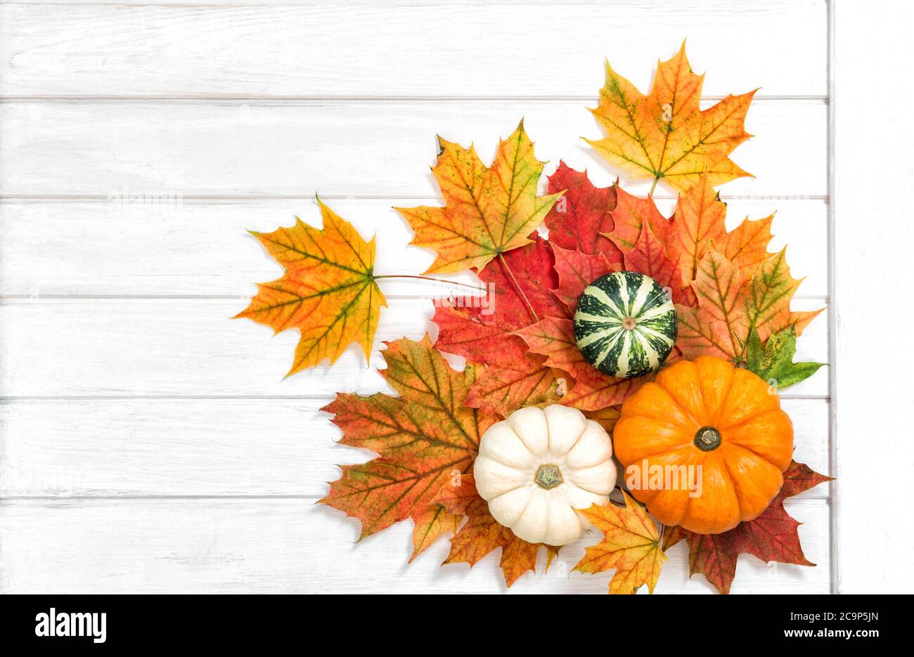 Automne. Récolte. Thanksgiving. Citrouille avec décoration de feuilles rouges Banque D'Images