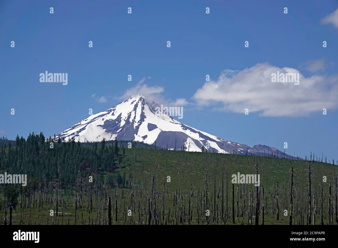 Mont Jefferson, deuxième plus haut sommet de l'Oregon, et volcan dormant dans la chaîne des Cascade de l'Oregon. Banque D'Images