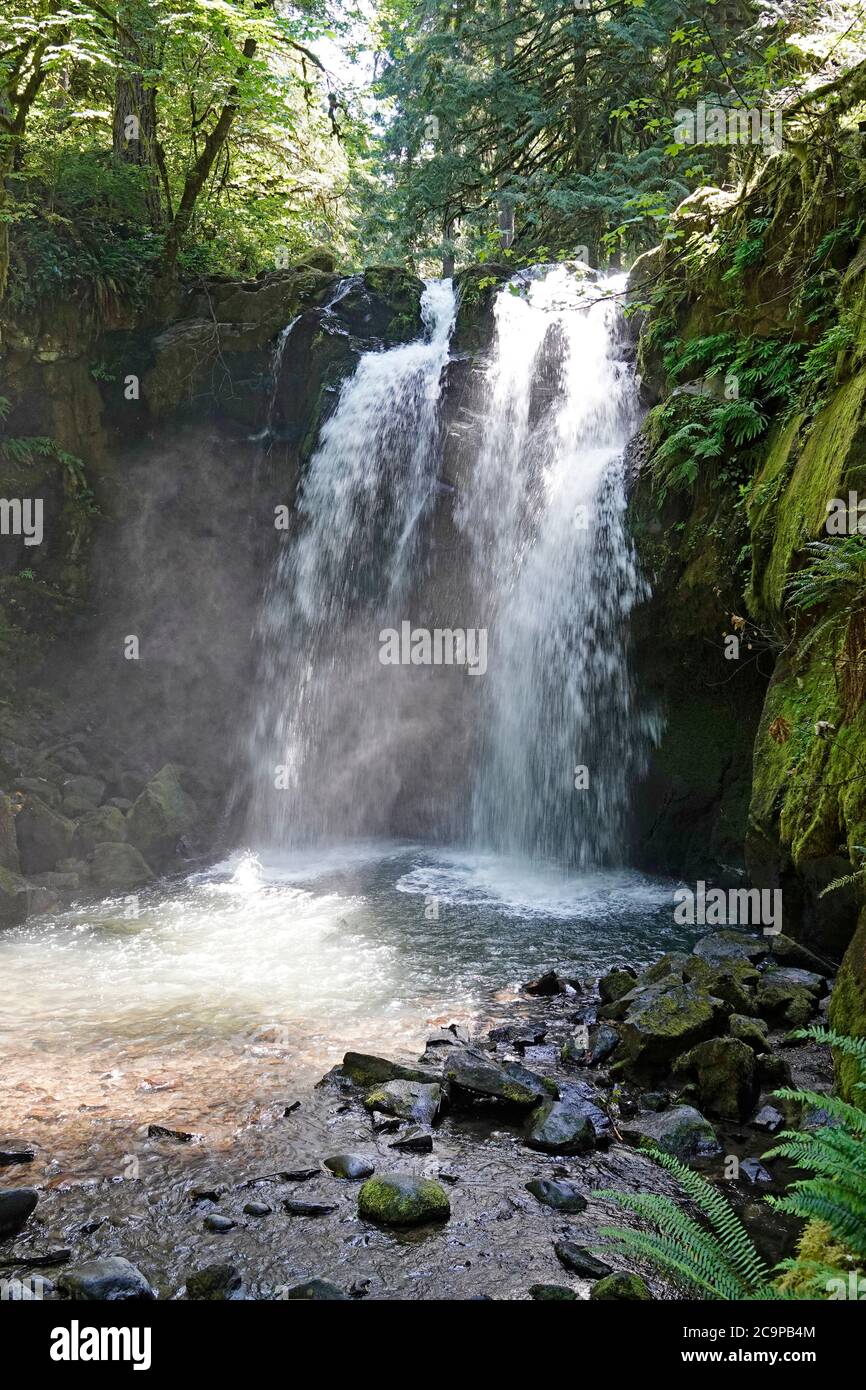 Chutes majestueuses le long du ruisseau McDowell, dans le parc du comté de McDowell Creek, à Sweet Home, en Oregon, sur la pente ouest des montagnes Cascade et en bordure Banque D'Images