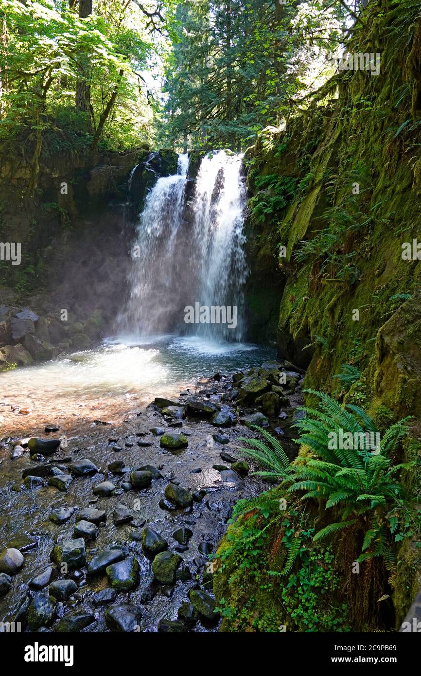 Chutes majestueuses le long du ruisseau McDowell, dans le parc du comté de McDowell Creek, à Sweet Home, en Oregon, sur la pente ouest des montagnes Cascade et en bordure Banque D'Images