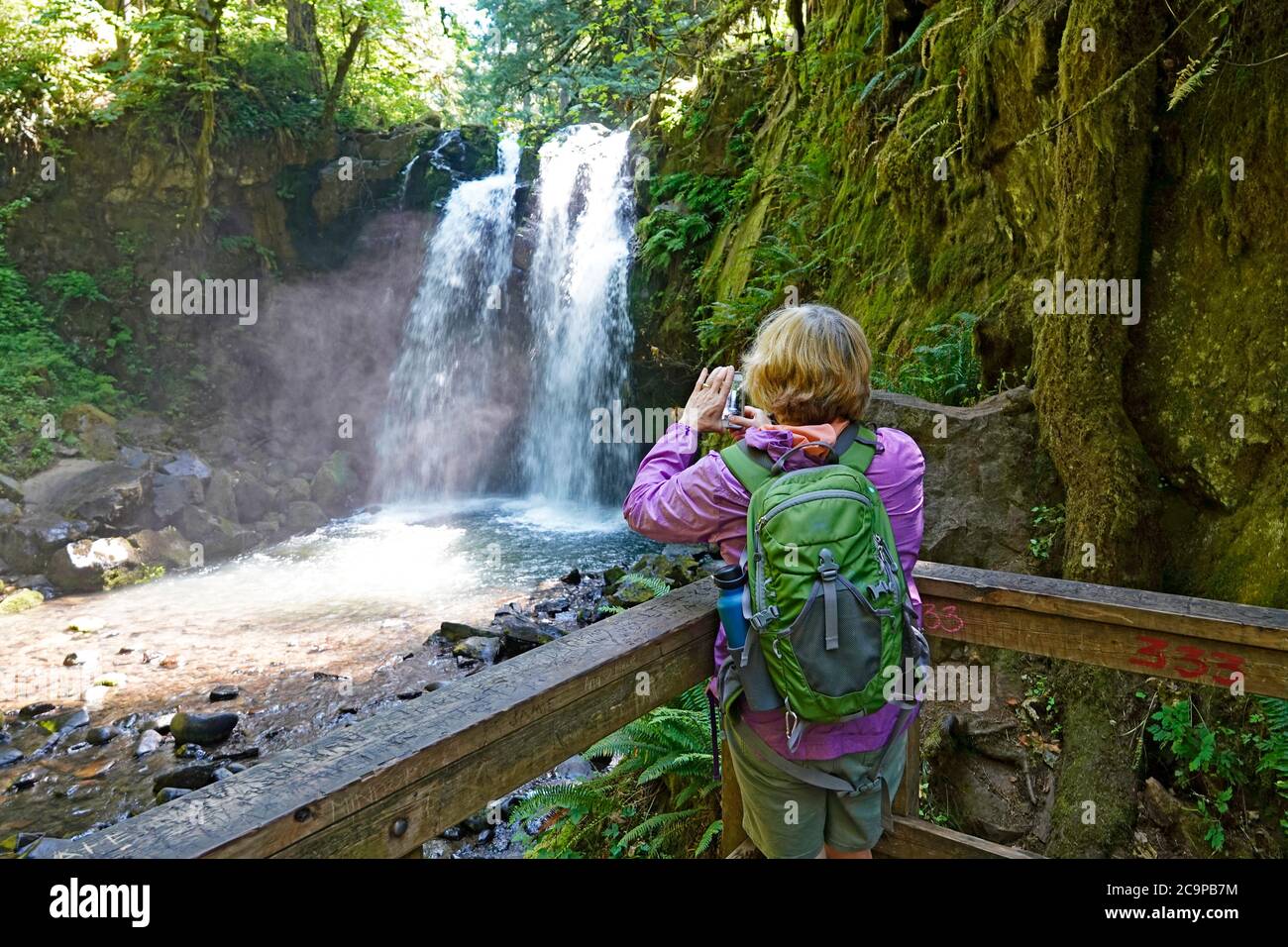 Un randonneur photographie les chutes Majestic le long du ruisseau McDowell, dans le parc du comté de McDowell Creek, à Sweet Home, en Oregon, sur la pente ouest du mont Cascade Banque D'Images
